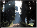 foto Parco di Villa Borghese